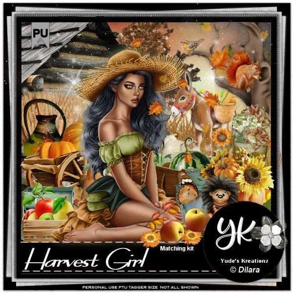 (image for) Harvest Girl